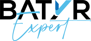 Logo Batyr Expert